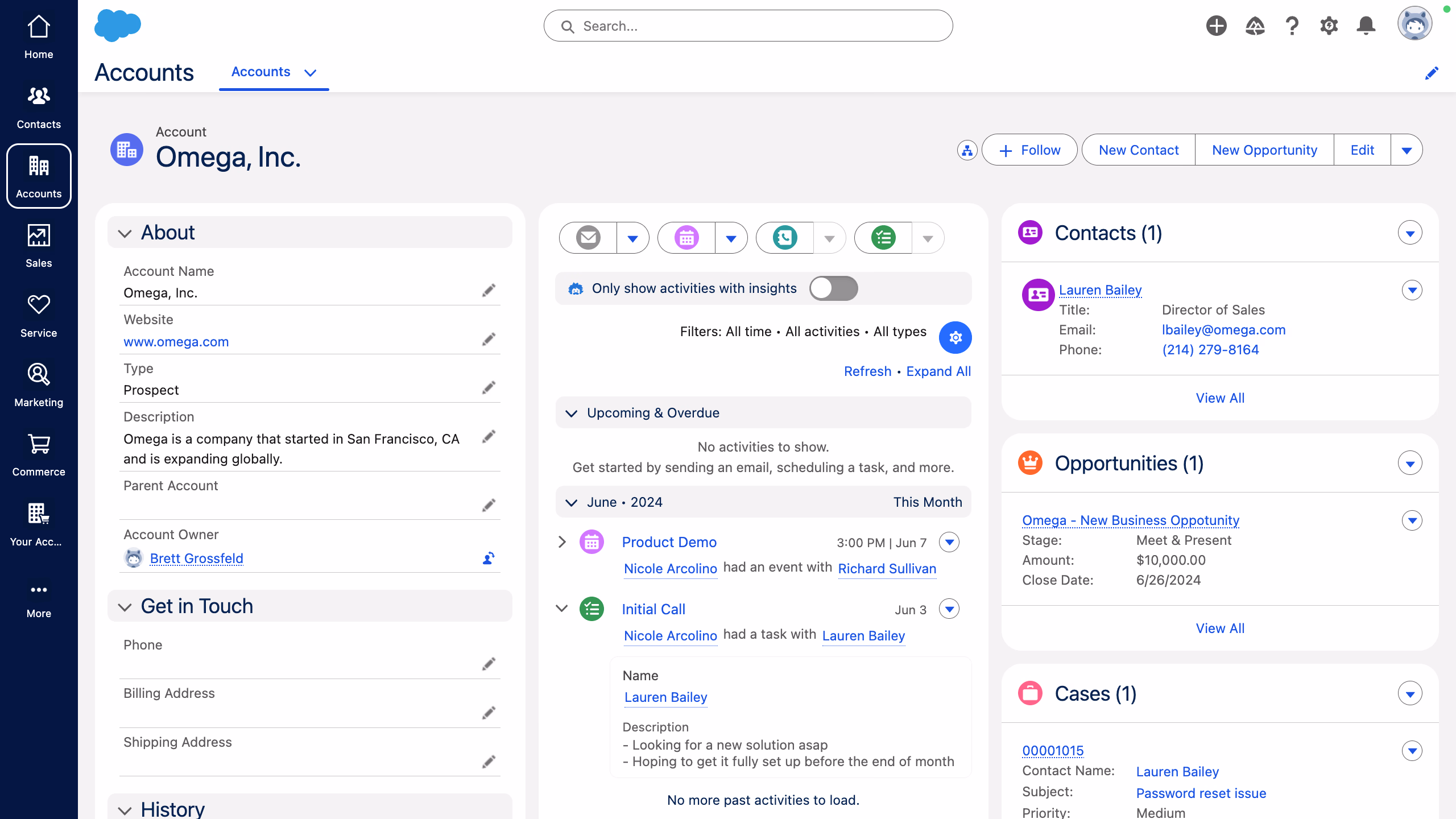 Salesforce user interface